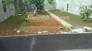 TUKANG RUMPUT HIAS TUKANG TAMAN , TUKANG RUMPUT , TUKANG KOLAM