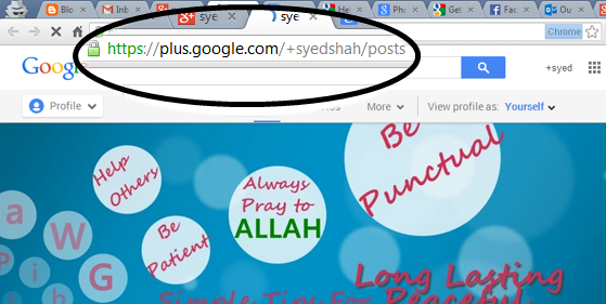 How To Get A Custom URL For Google Plus Profile And Page