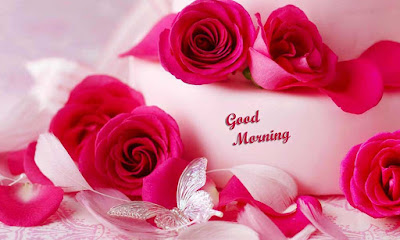 Sweet Good Morning Pics Sweet Good Morning Pics