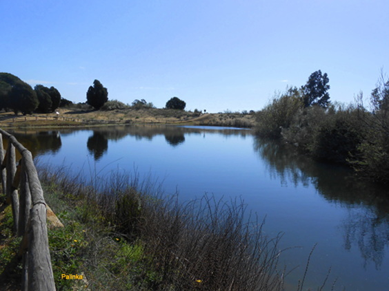 En Busca del Hada Azul Jardín Botánico Dunas del Odiel