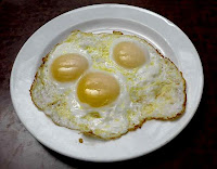Egg for Weight Loss Program
