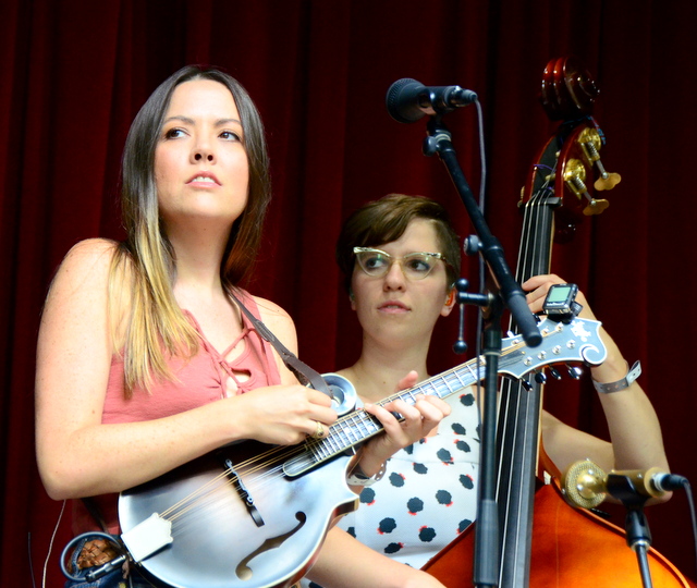 Zoe lynnamerican meadow