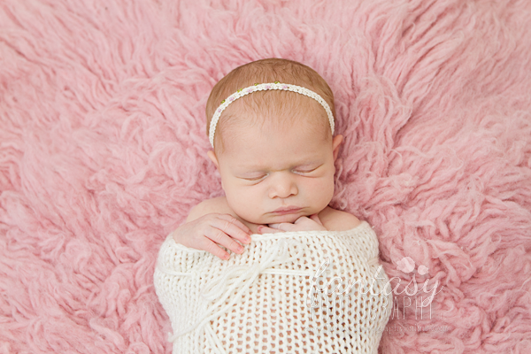 newborn photography in winston salem nc | triad newborn photographers newborn photography in winston salem nc | triad newborn photographers