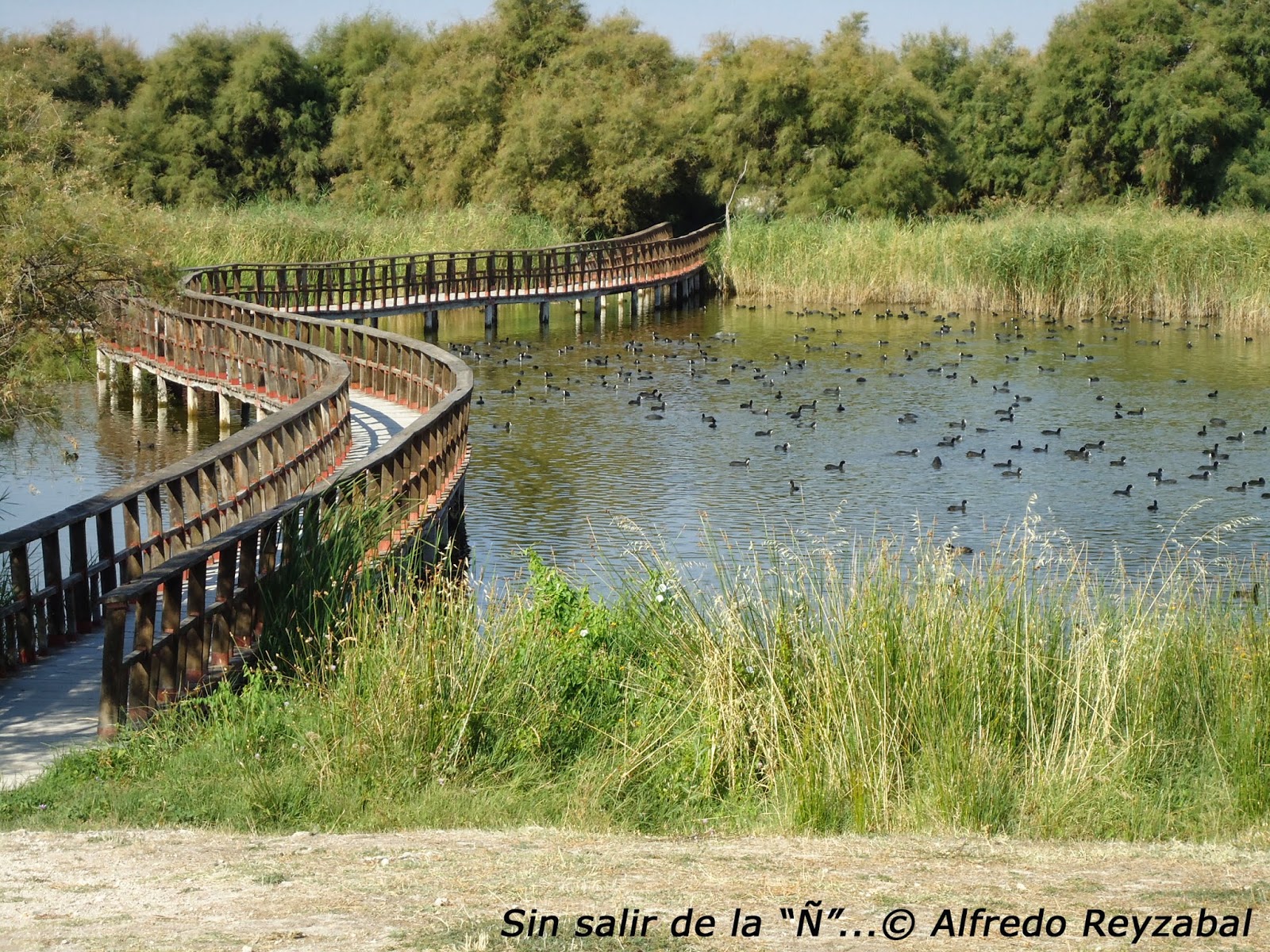 Las tablas de daimiel fotos