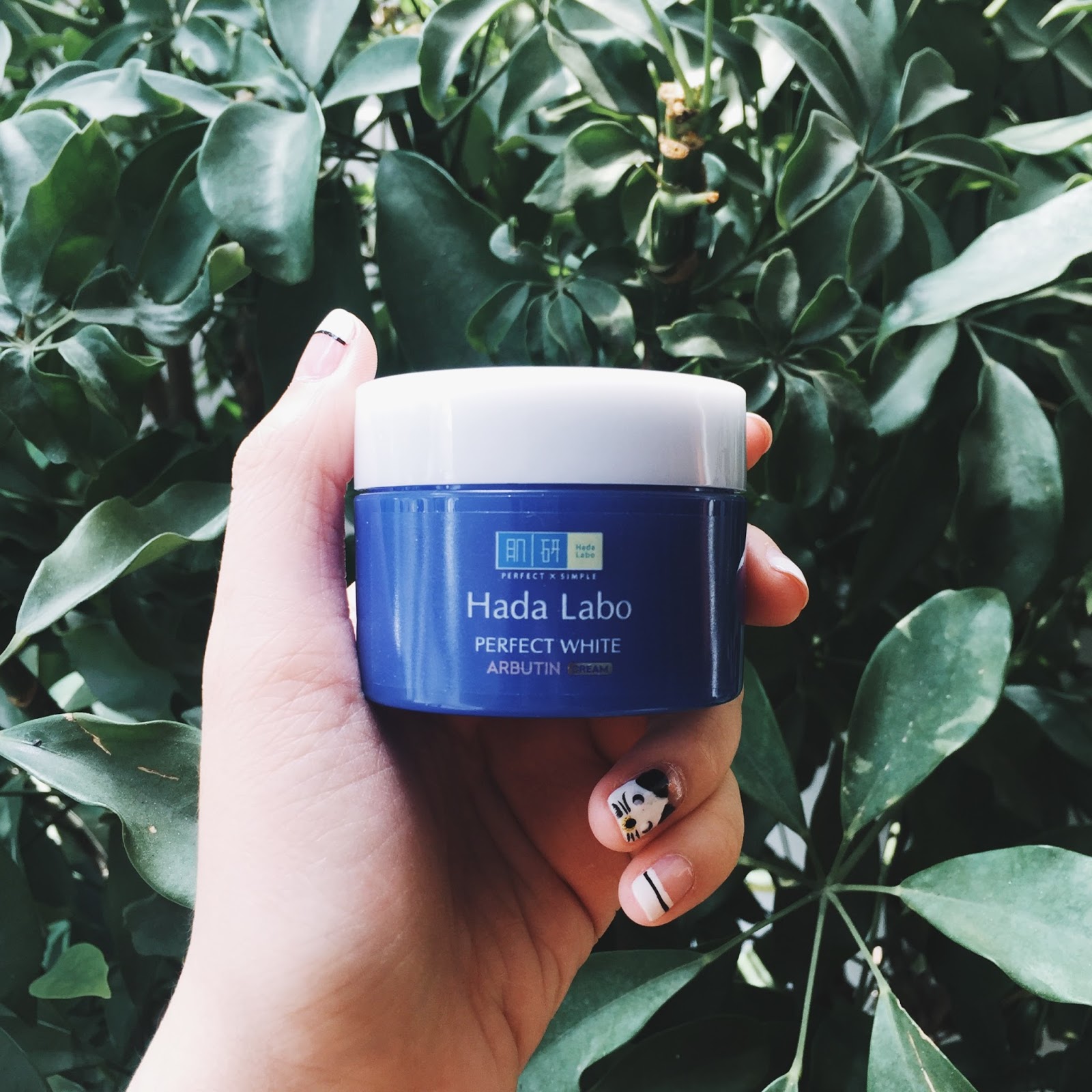 Kết quả hình ảnh cho Hada Labo Perfect White Arbutin cream"