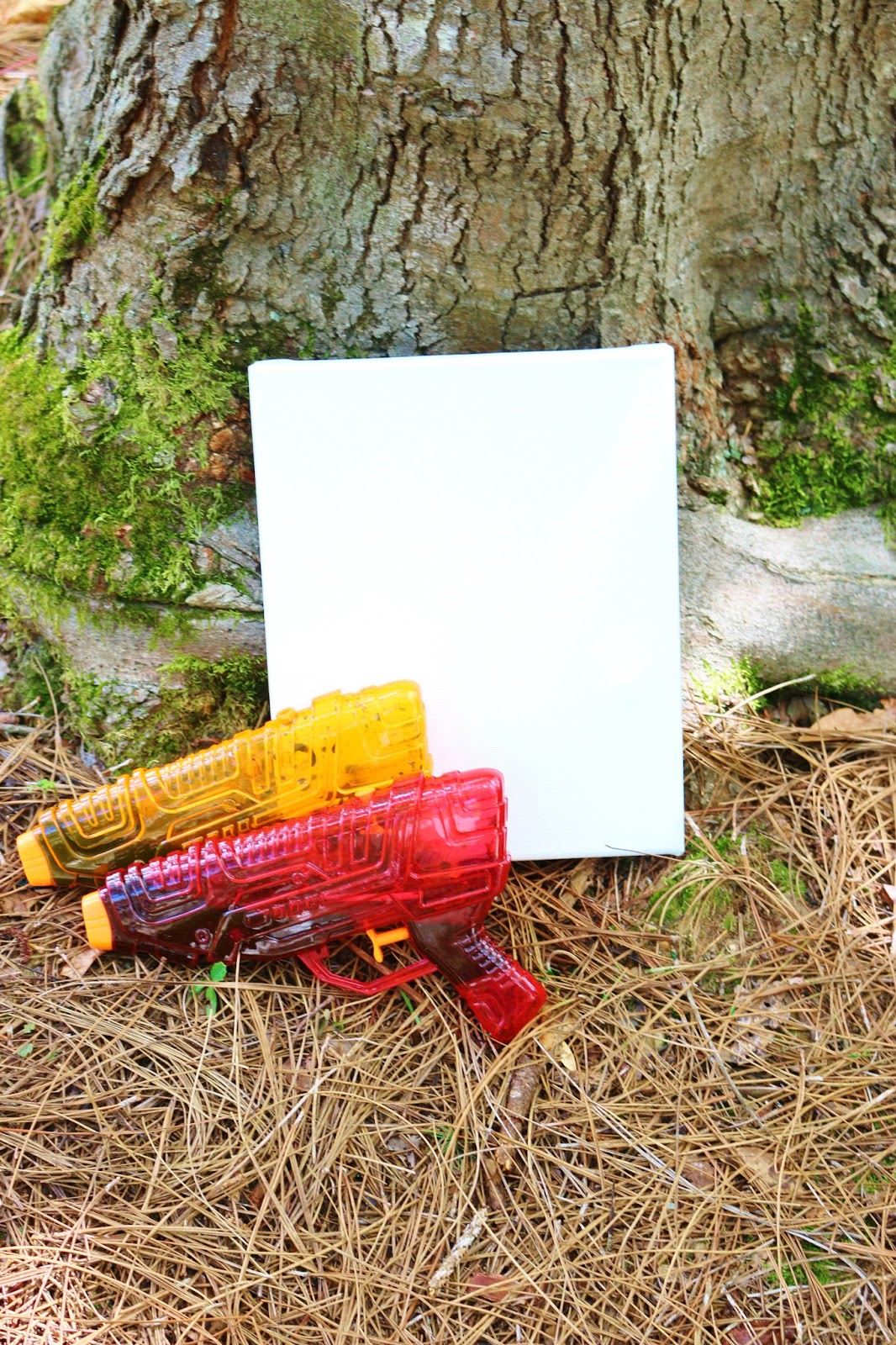 Squirt Gun Water Color DIY The Happy Flammily