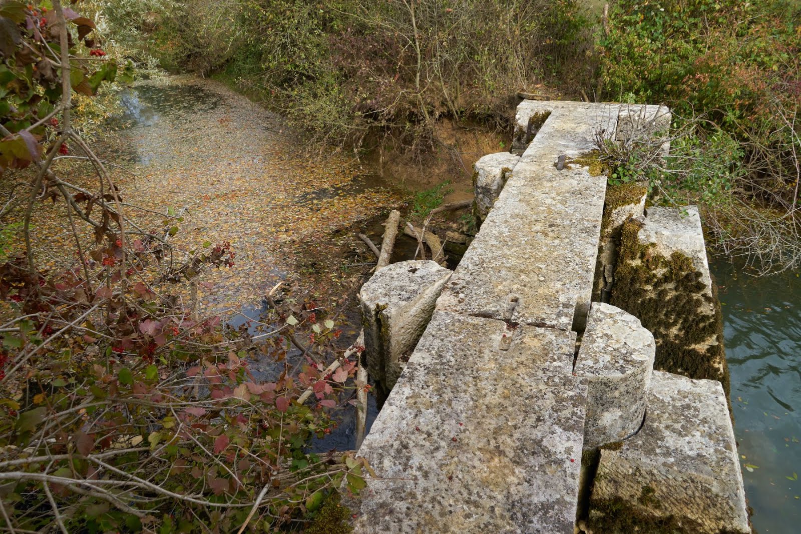 Le petit pont abandonné
