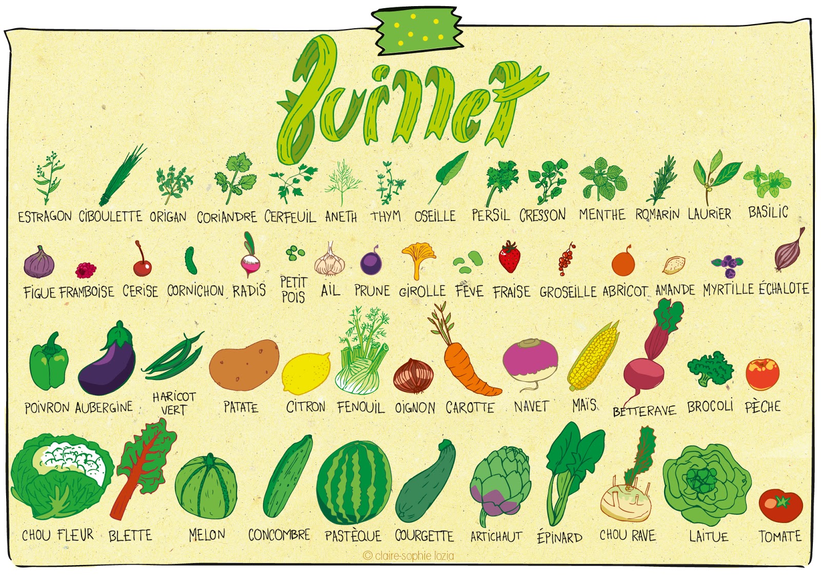 Juillet Calendrier des fruits et légumes pissenlit