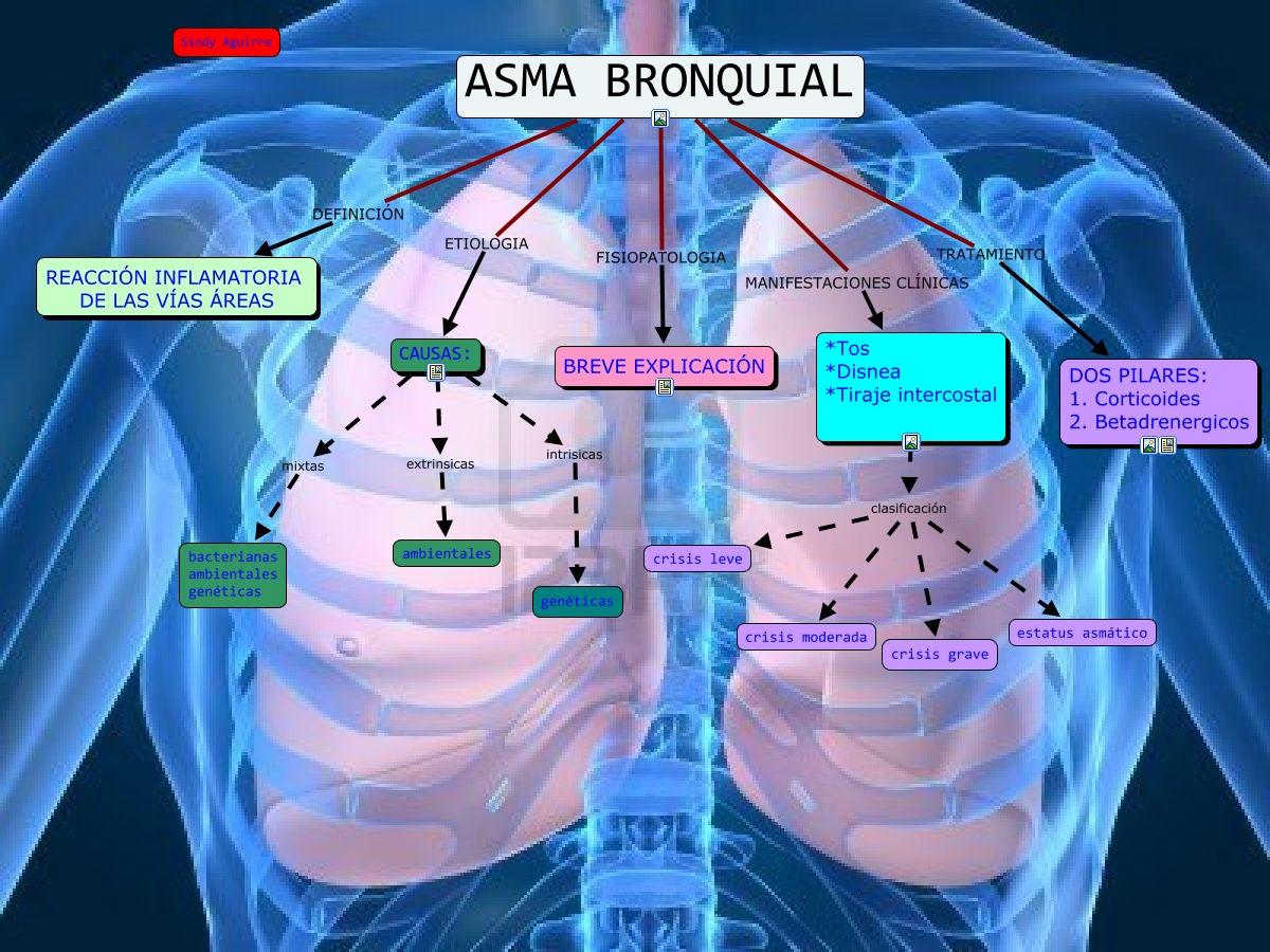 Urocultivo y Antibiograma. ¿Qué son, cómo y cuando se Urocultivo y Antibiograma. ¿Qué son, cómo y cuando se