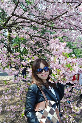 Sakura at Shinjuku Gyoen Tokyo Japan