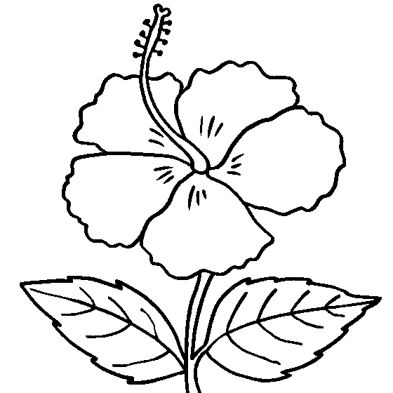 yellow hibiscus coloring pages - photo #26