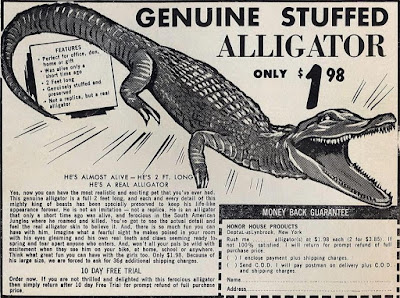 Genuine Stuffed Alligator