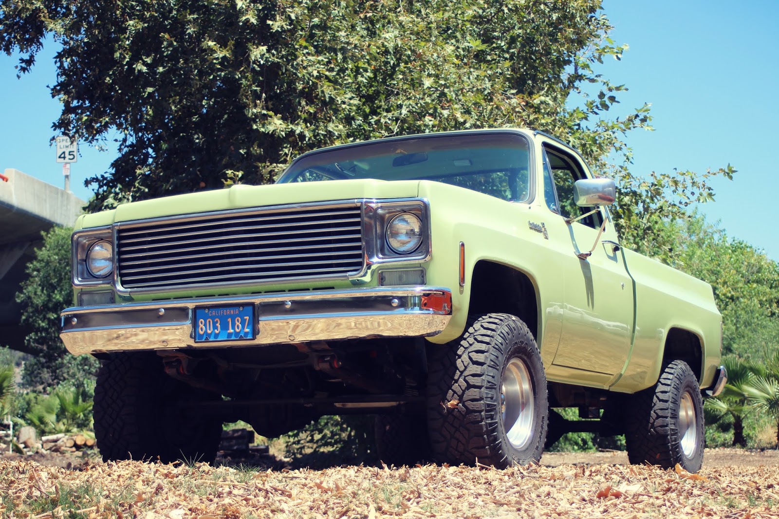 Brother's Chevy Truck Show