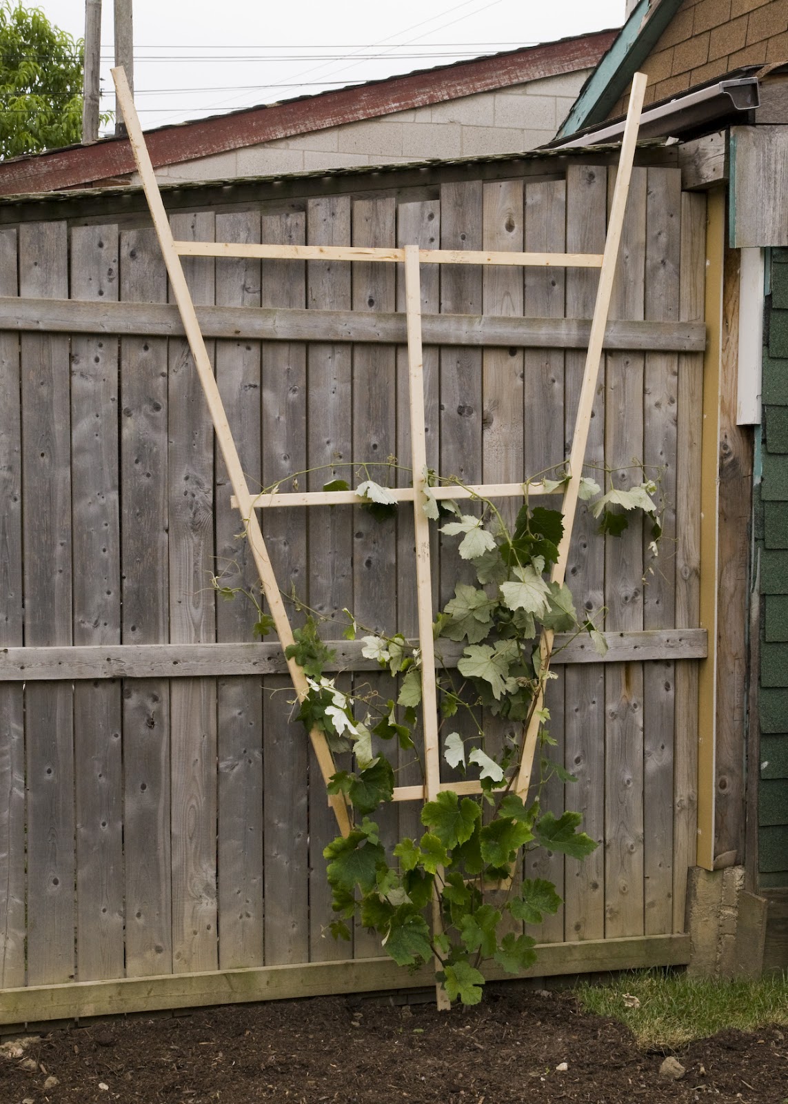 One Canadian Home How to build a wooden trellis