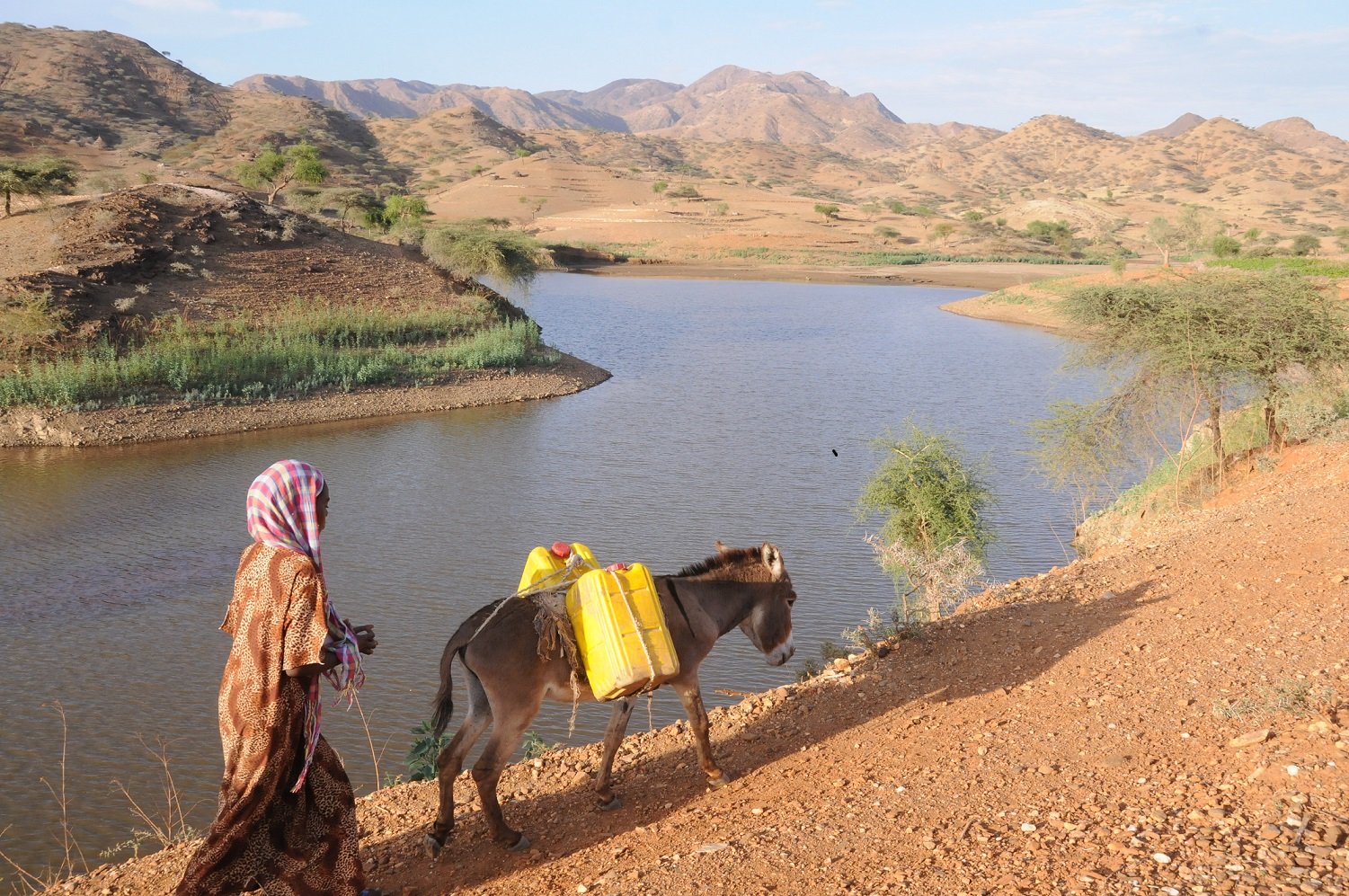 Oases of Eritrea Naturebased solutions for development NOT SOME