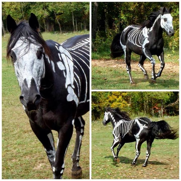 My Life As A Zombie Horse Costume