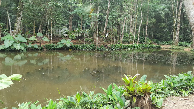 Lago das Fadas Lago das Fadas