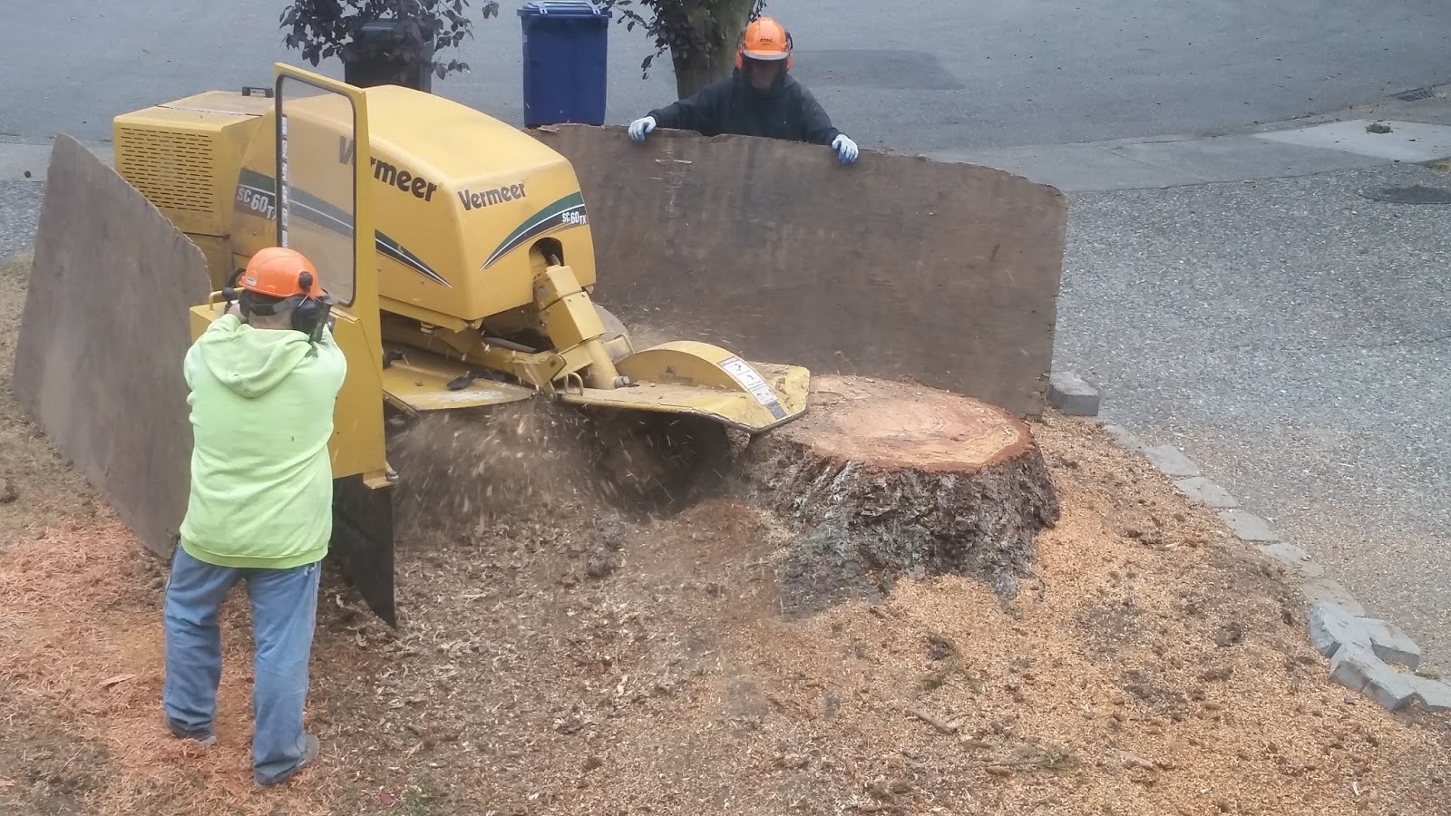 Brads Stump and Tree Service Arlington, Washington Stump Removal and