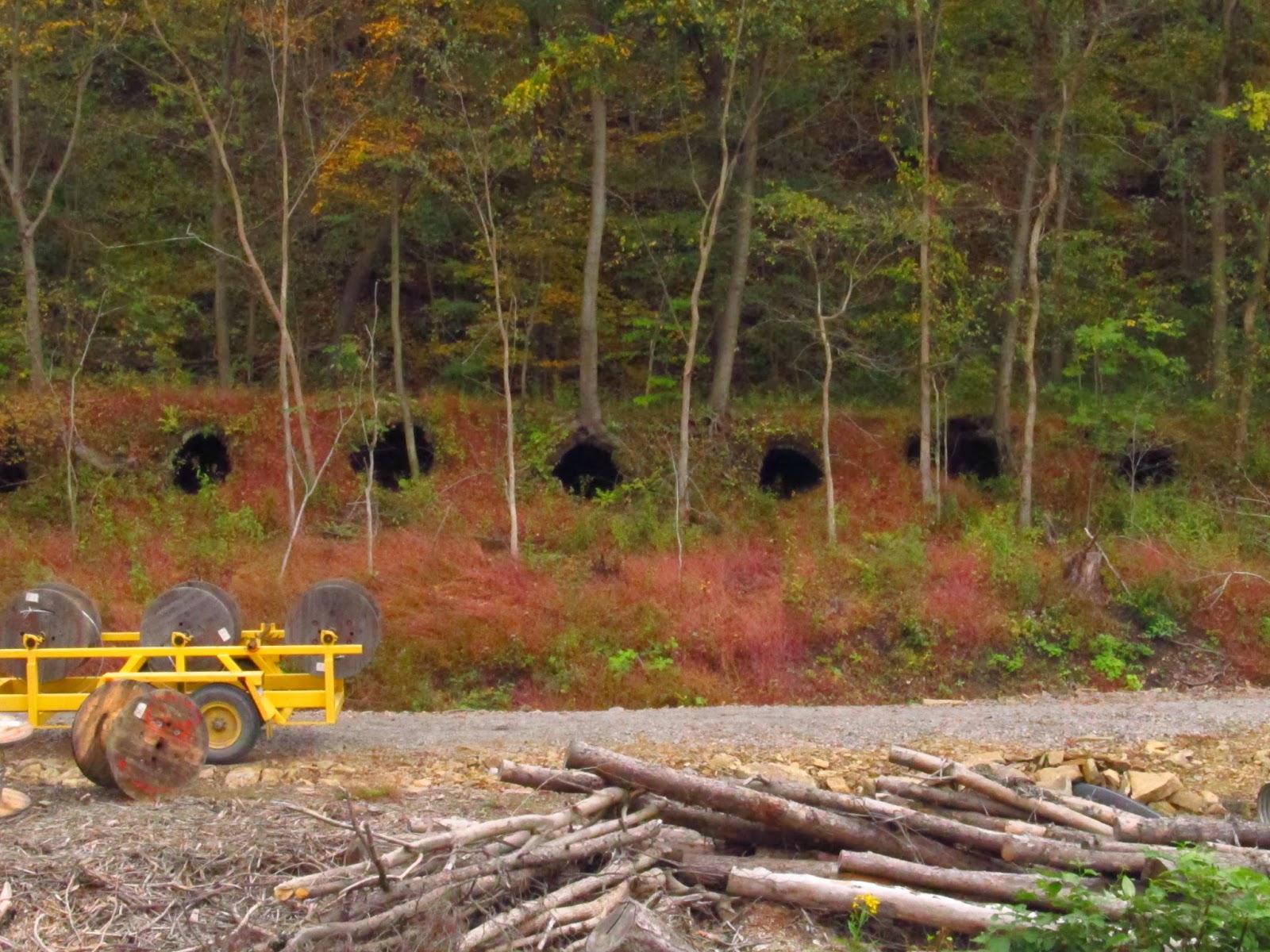 Old Industry of Southwestern Pennsylvania Kelly Station, PA/Provident