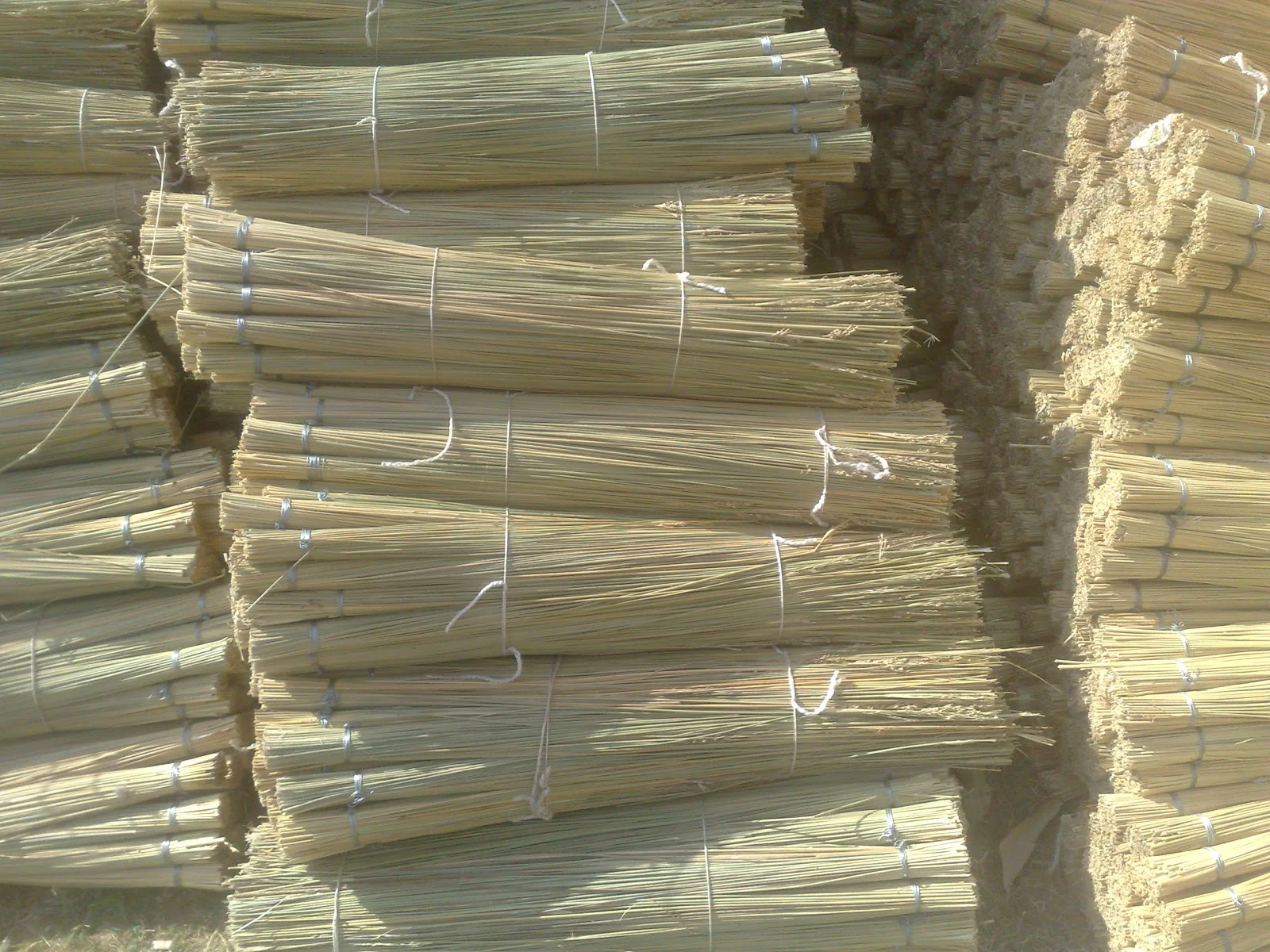African reed bundles