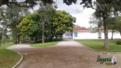 Execução da rua em entrada da sede da fazenda em Atibaia-SP. Rua de pedra com as guias de pedra folheta e o piso com pedrisco com as caixas para captação da água da chuva e no paisagismo o gramado com grama batatais e grama amendoim.