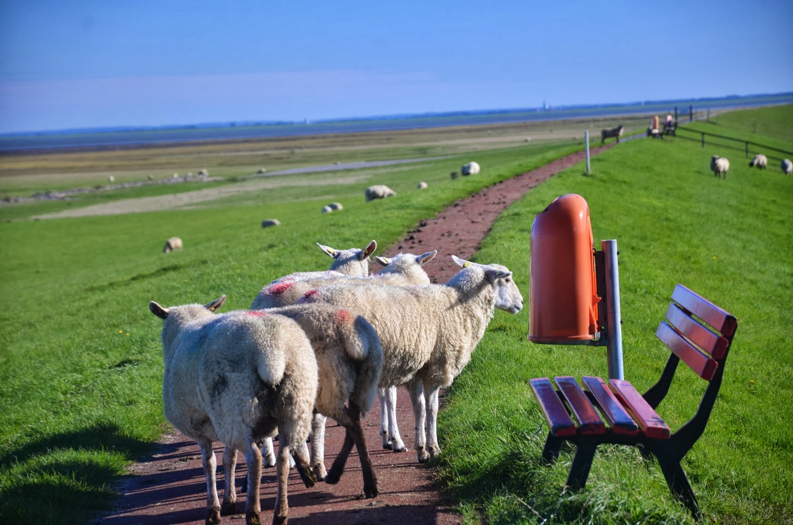 LandWerk: Oktober 2013