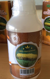 obat tukak lambung alami