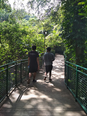 Forest Walk, Babakan Siliwangi, Bandung