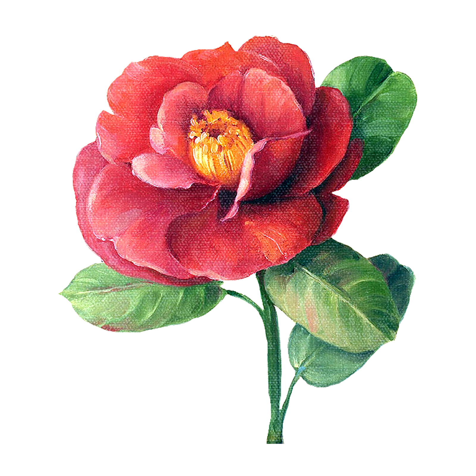 Flower Painting_By Lisa Audit_PNG_(69 item) Joy Design Studio