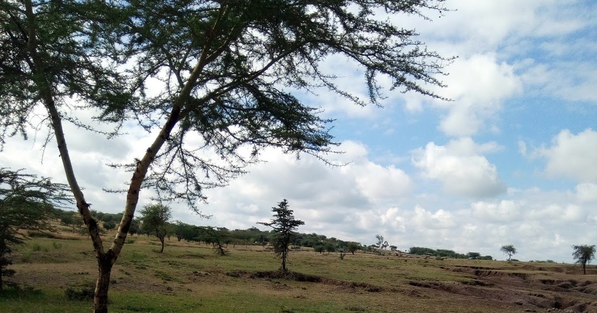 Rent house in Tanzania Arusha rent homes, Houses for sale,vacation