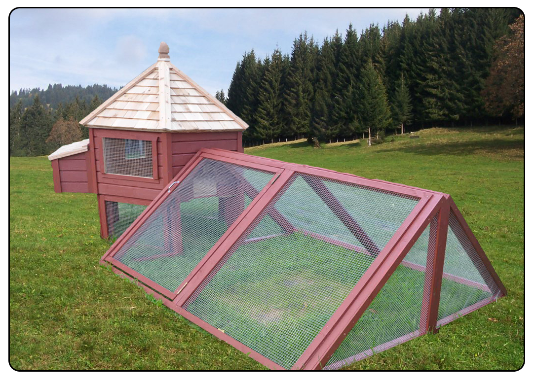 Hens Plans Guide Chicken coop 8 chickens