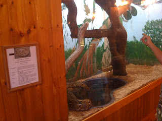snakeinteraction3
