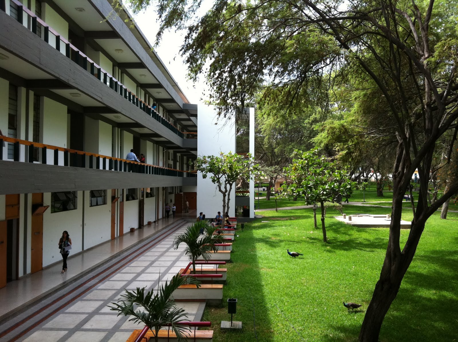 Arquitecto en el Perú Universidad de Piura