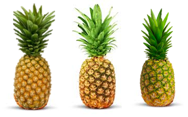 La Piña Tropical: Piña Fresca Empacada