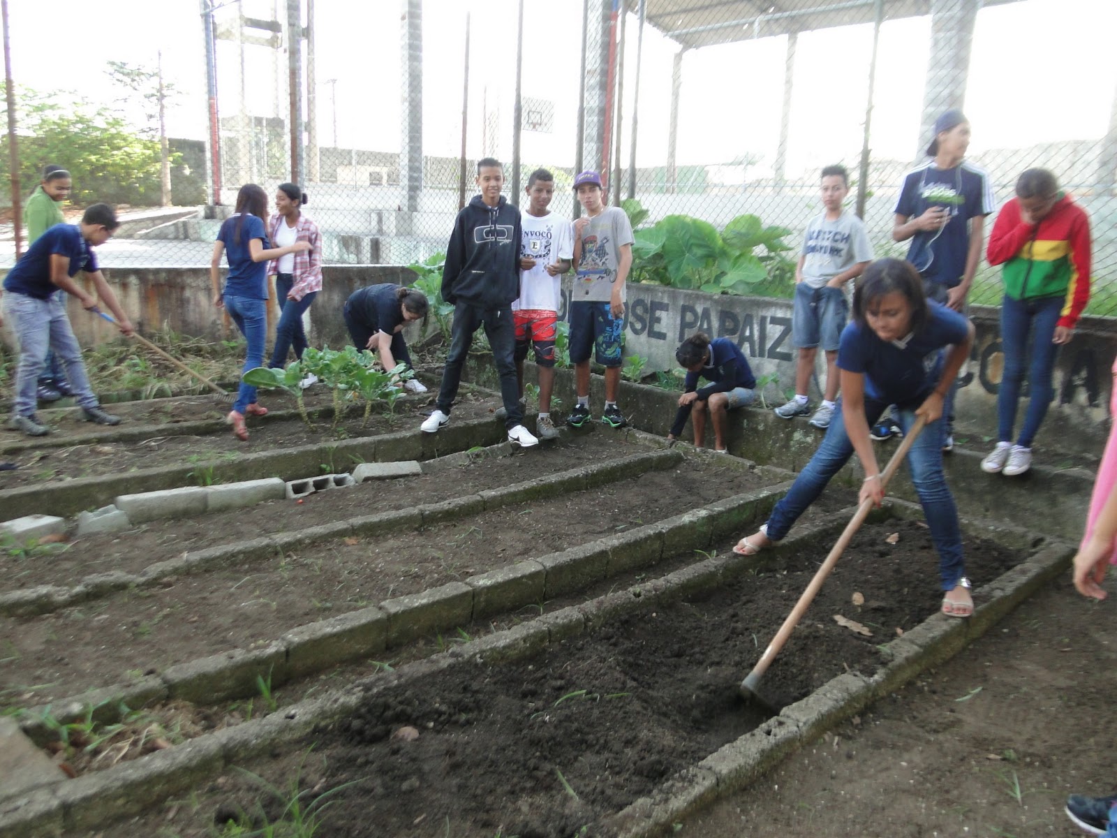 projetohortajosepapaiz2013: PROJETO HORTA - EE PROF. JOSÉ PAPAIZ