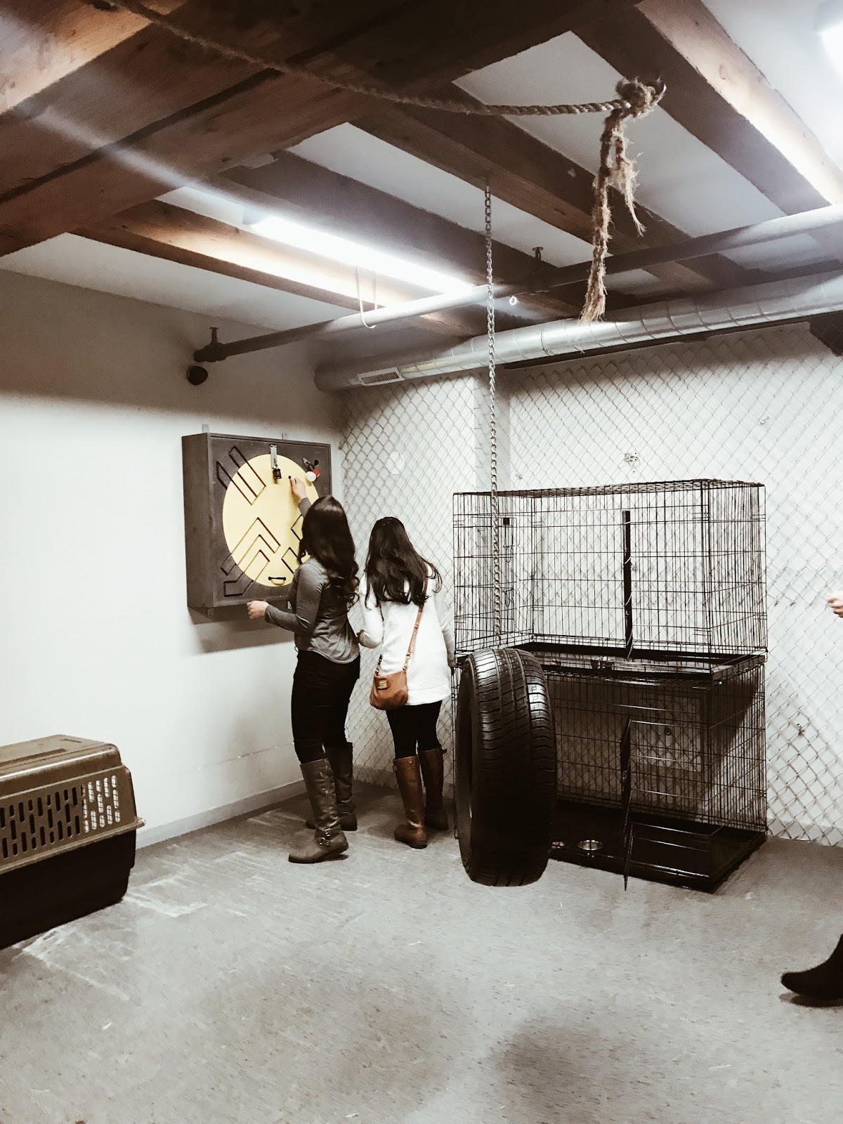 Paniq Escape Room Y U N A H S T R U L Y