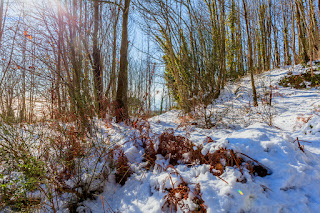 Neve a Ischia, Monte Epomeo innevato, Foto Ischia, Neve a Ischia 2017, Comune di Fontana, Eremo di San Nicola innevato, Ischia imbiancata,