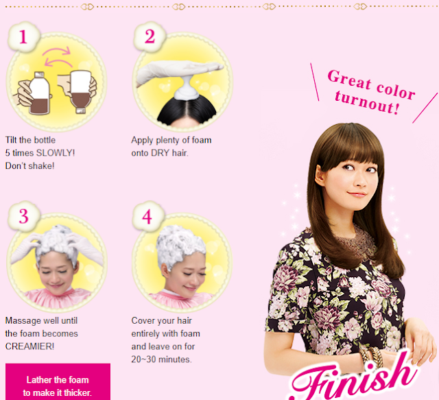 Feature Liese Blaune DIY Color for Gray Hair Dear Kitty Kittie Kath