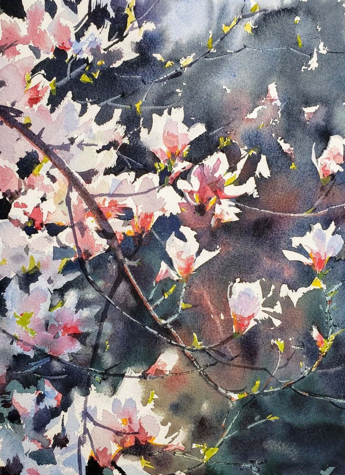 Turtle Giclée Print unframed 0302 Watercolour Painting by Renata Dilyte Turtle Giclée Print unframed 0302 Watercolour Painting by Renata Dilyte