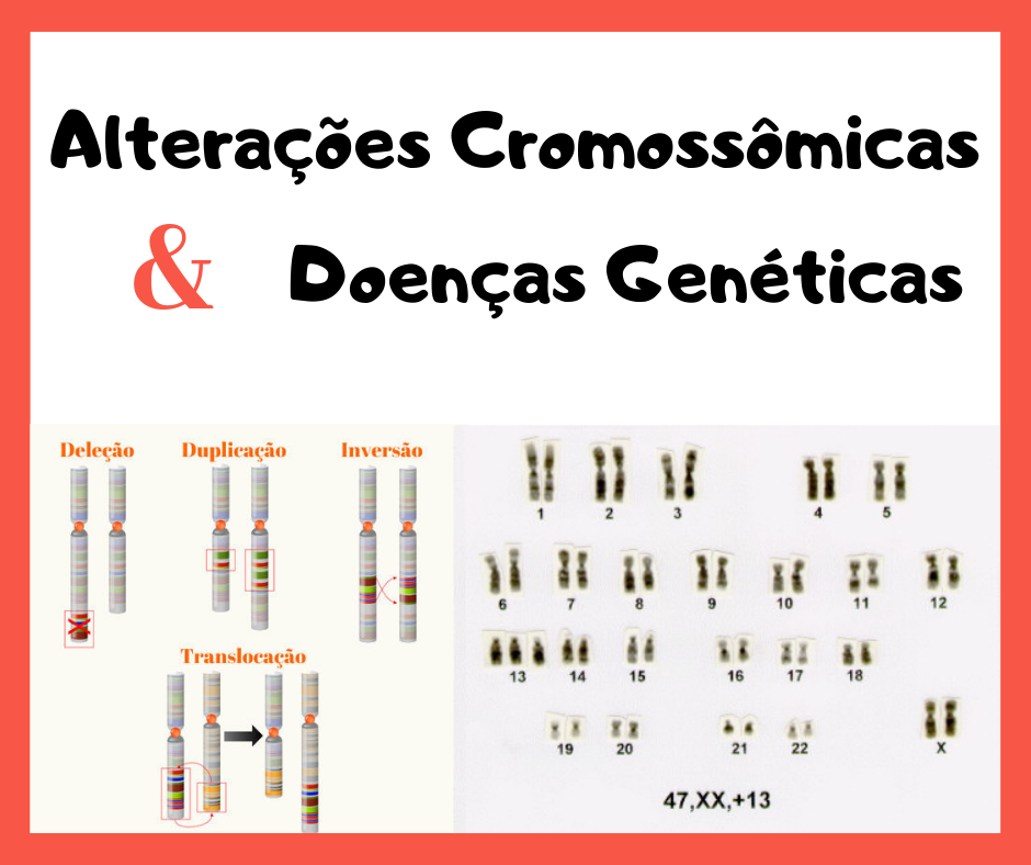 O Que é Sindrome Cromossômicas SOLOLEARN O Que é Sindrome Cromossômicas SOLOLEARN