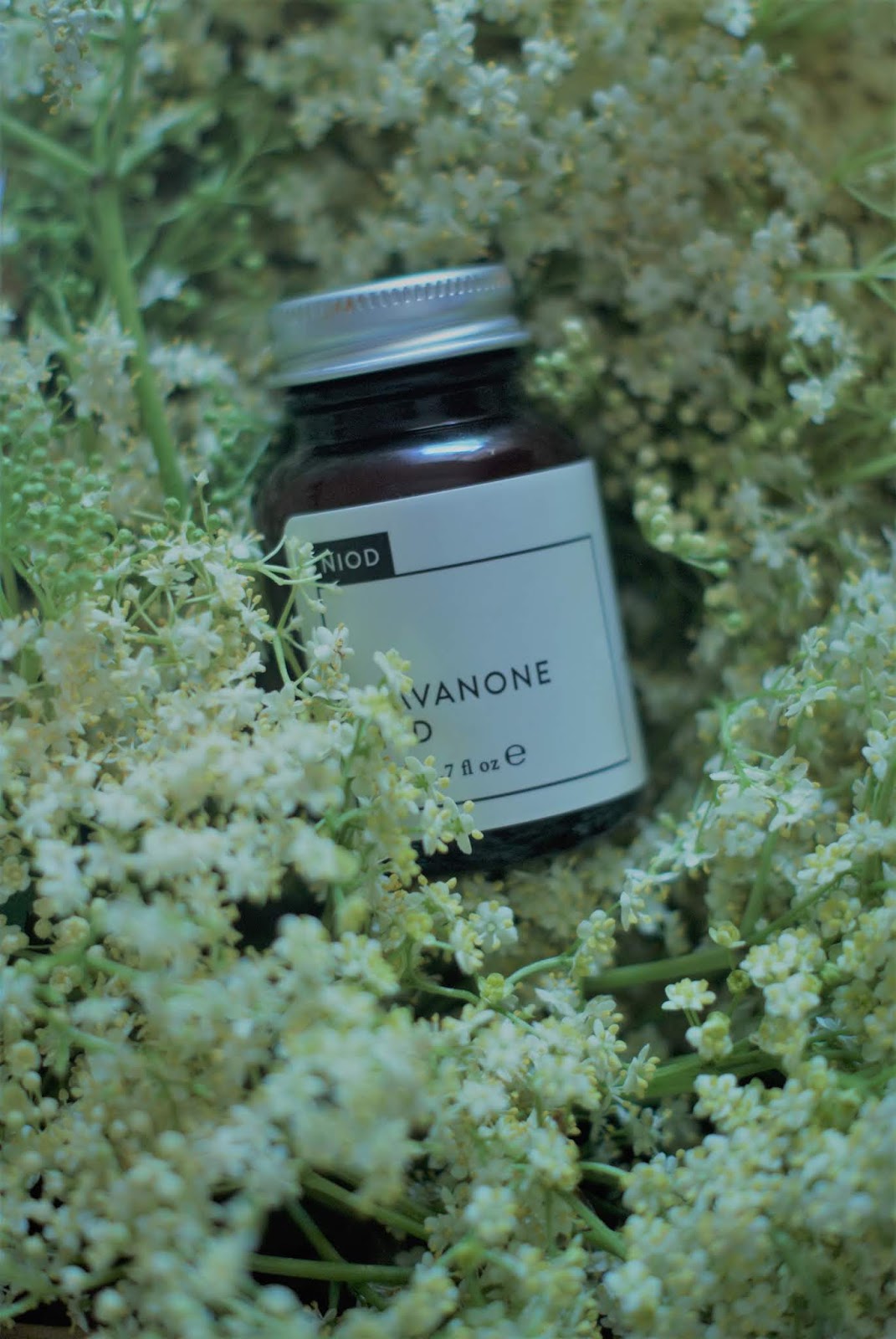 Flavanone Mud/NIOD.