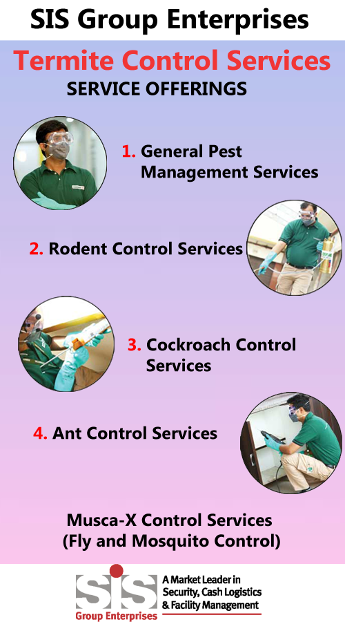 Termite Control Services