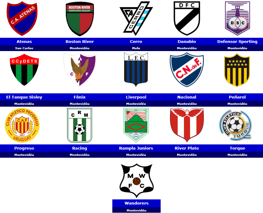 Club Nacional de Football Uruguayan Primera División Association