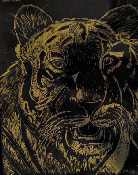 Scratch Art Examples