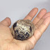Amazing Animals in Small Stone Painting 