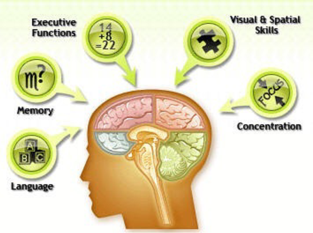 Memory skills. Visual-spatial memory. spatial skills.