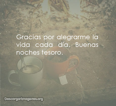 Tesoro buenas noches.