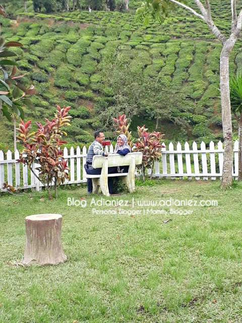 Holiday Cameron Highlands | Cameron Valley Tea House 1