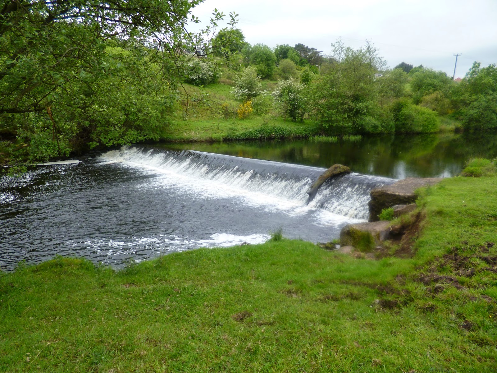 Gordon and Anne's Blog Cunninghame ramblers. Bridge of Weir circular. May 2014