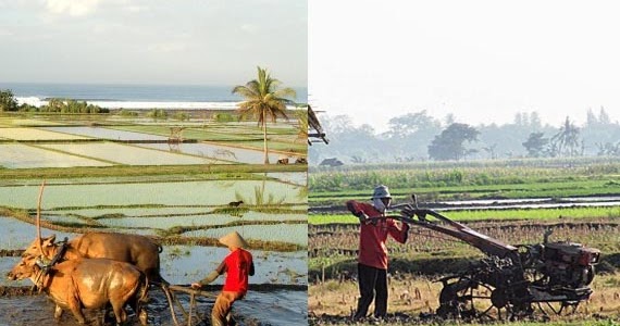 Materi Tentang Hakikat Perubahan Sosial Materi Kita